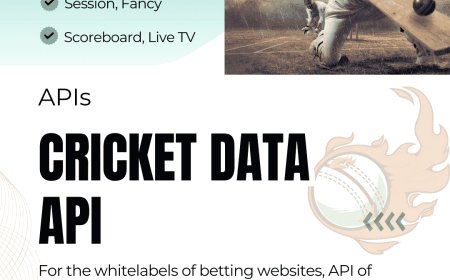 Cricket Odds API: The Ultimate Guide to Real-Time Cricket Betting Data