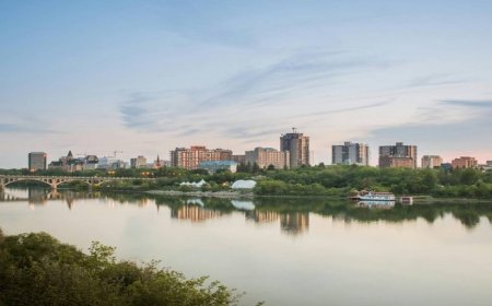 When Trees Become Legal Problems: How Land Surveyors Handle Natural Boundaries in Edmonton