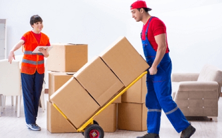 Behind the Move: How Packers and Movers Handle Everything