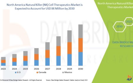 North America Natural Killer (NK) Cell Therapeutics Market Size, Share, Trends, Key Drivers, Growth Opportunities and Competitive Outlook