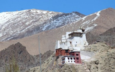 Discovering the Spiritual Heights of Namgyal Tsemo Monastery