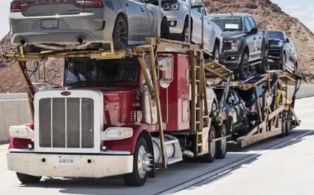 Colorado Car Shipping Services - Transport Master USA