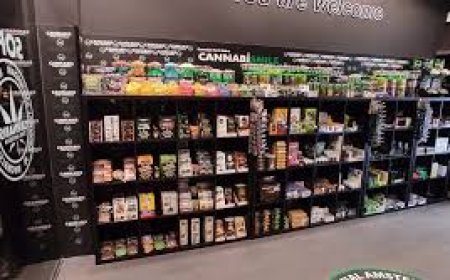 Top Cannabis Store in Los Angeles