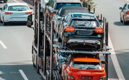 Louisiana Car Shipping - Transport Master USA