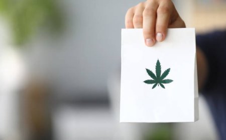 Cannabis Delivery Near Me: How La Habra Is Changing the Game for Weed Access