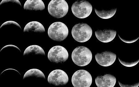 Lunar Cycle Art Through an Artist’s Eyes