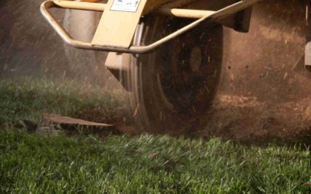 Stump Grinding: The Complete Guide to Removing Tree Stumps Safely and Effectively