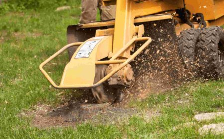 The Ultimate Guide to Stump Grinding: Say Goodbye to Unsightly Stumps