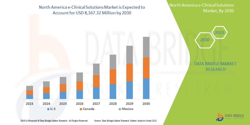 North America E-Clinical Solutions Market Size, Share, Trends, Key Drivers, Growth Opportunities and Competitive Outlook