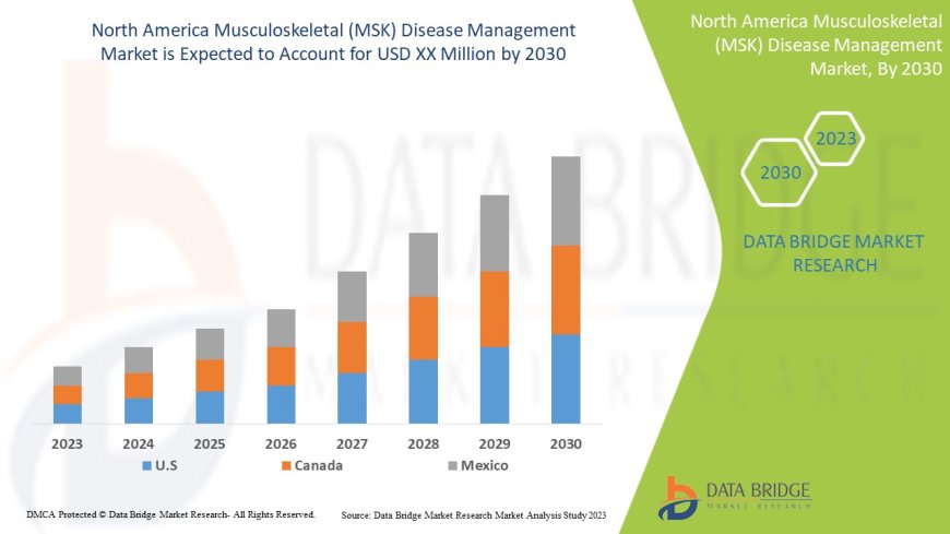 North America Musculoskeletal (MSK) Disease Management Market Size, Share, Trends, Demand, Growth and Competitive Analysis