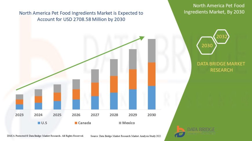North America Pet Food Ingredients Market Size, Share, Trends, Demand, Growth and Competitive Analysis
