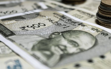 Make Each Colour Guess Count and Win Big Rewards