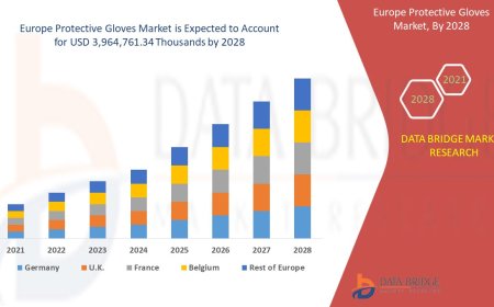 Occupational Safety Regulations Stimulate Growth of Europe Protective Gloves Market