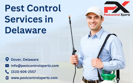 Professional Pest Control in Glasgow: Why Experience Matters