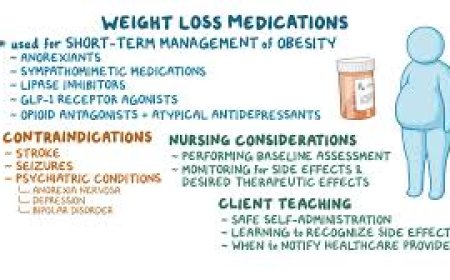 Top Weight Loss Medications That Actually Work