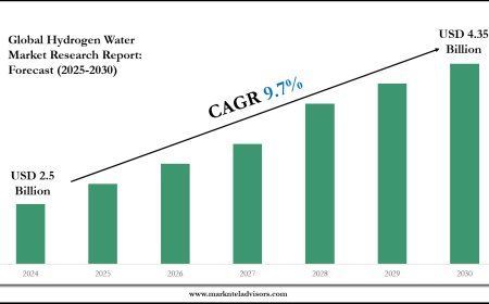 Hydrogen Water Industry Forecast: Key Players and Growth Analysis 2030
