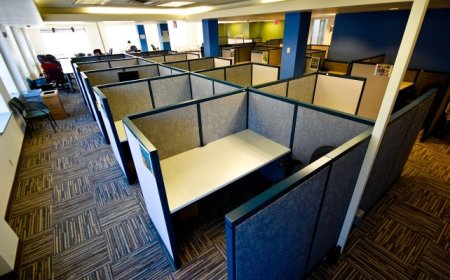 Top-Rated Office Cleaning Services in Los Angeles – Go Evergreen Janitorial