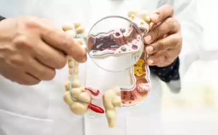 Daily Habits That Help Improve Digestion Naturally