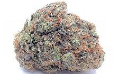 Super Sour Diesel Strain:Power-Packed Flavor and Mental Clarity