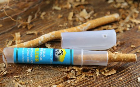 Why I Bought My Miswak Holder from Darularqam Book Store