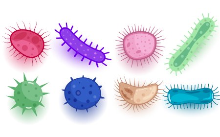 Parasite Cleanse for Losing Weight: Is It Effective?