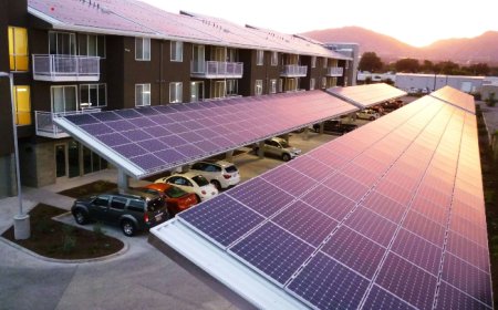 The Impact of Dust, Bird Droppings, and Pollution on Solar Panel Efficiency