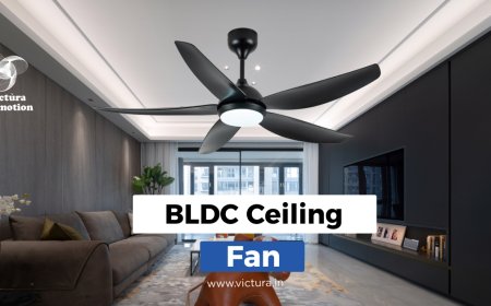 Why BLDC Ceiling Fans Might Just Be the Introverts of Your Home Appliances