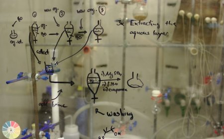 Unlocking the Power of Custom Oligosaccharide Synthesis for Research and Biopharmaceutical Innovation