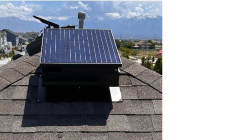 Why Homeowners Should Invest in Solar Panel Cleaners