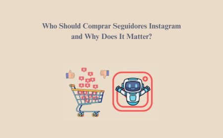 Who Should Comprar Seguidores Instagram and Why Does It Matter?