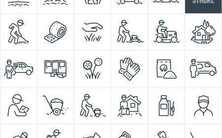 Use Skilled Landscapers in Denton, Texas to Modify Your Outside Area