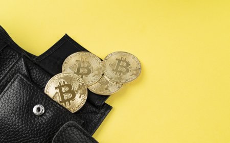 Choosing the Best Cold Wallet for Crypto in 2025: A Smarter Way to Store Your Digital Wealth