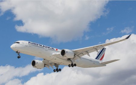 Complete Guide to Spirit Airlines Las Vegas Terminal at Harry Reid International Airport