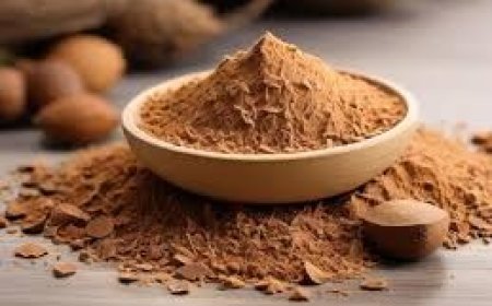 Coconut Shell Powder Manufacturing Plant Setup Cost 2025: Machinery Requirements and Project Economics