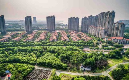 Best Places to Invest in Real Estate for Long Term Returns