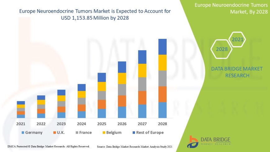 Europe Sees Surge in Neuroendocrine Tumors Market with Advancements in Targeted Therapies