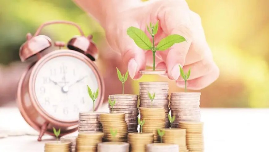 Momentum Funding: Invest in High-Performance Stocks and Sectors