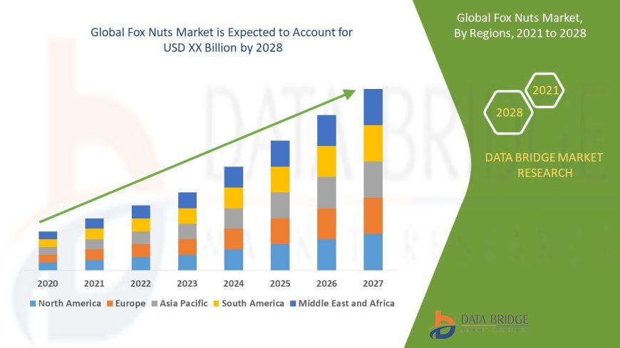 Fox Nuts Market Insights and Growth Trends