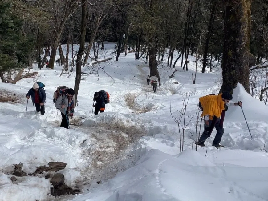Kedarkantha Trek Guide (2025): Easy, Snowy & Unforgettable